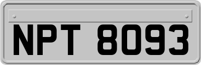 NPT8093