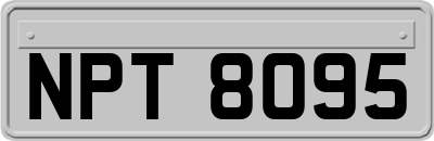 NPT8095