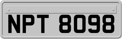 NPT8098