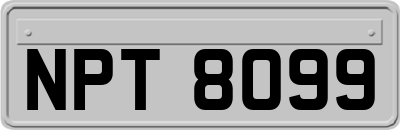 NPT8099