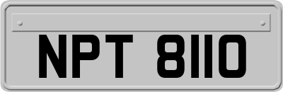 NPT8110