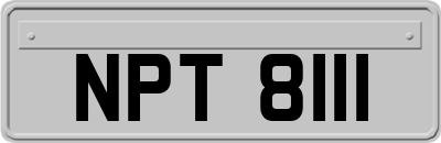 NPT8111