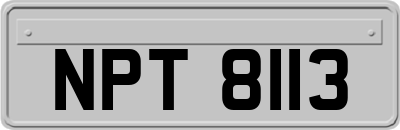 NPT8113