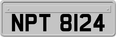 NPT8124