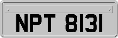 NPT8131
