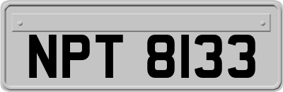 NPT8133