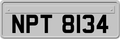 NPT8134