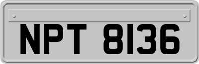 NPT8136