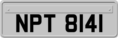 NPT8141
