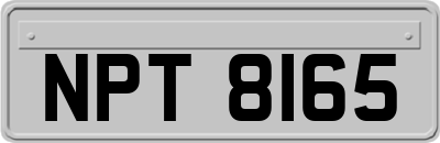 NPT8165