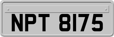 NPT8175