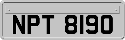 NPT8190