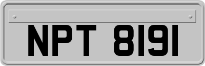 NPT8191