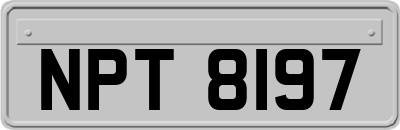 NPT8197