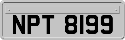 NPT8199