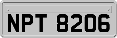 NPT8206