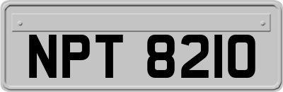 NPT8210