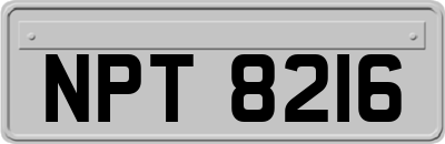 NPT8216