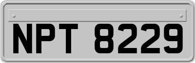 NPT8229