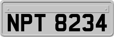 NPT8234