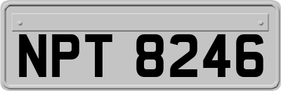 NPT8246