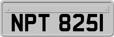 NPT8251