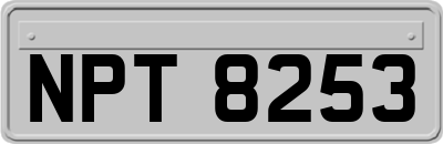 NPT8253
