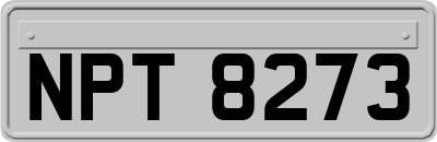 NPT8273