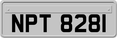 NPT8281