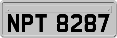 NPT8287