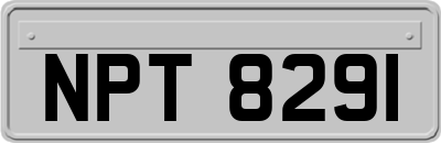 NPT8291