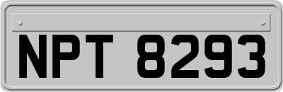 NPT8293