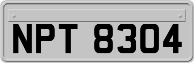 NPT8304