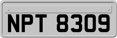 NPT8309