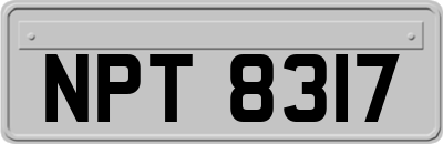 NPT8317