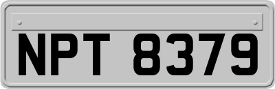 NPT8379