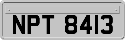 NPT8413