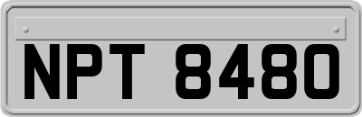 NPT8480
