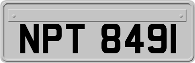 NPT8491