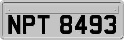 NPT8493