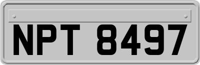 NPT8497