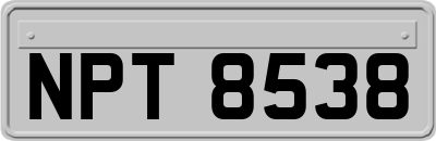 NPT8538