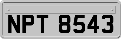 NPT8543