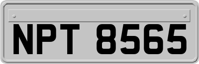 NPT8565