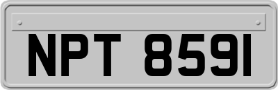 NPT8591