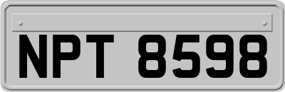 NPT8598