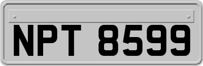 NPT8599