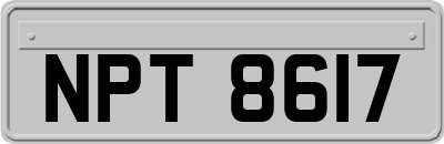 NPT8617