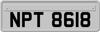 NPT8618