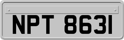 NPT8631